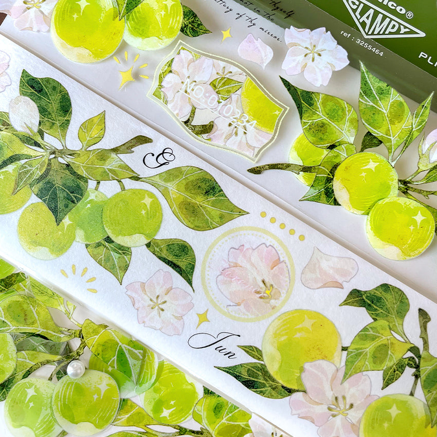 Green apple Apple series washi/PET tape